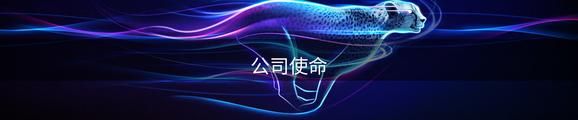 公司使命